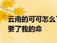 云南的可可怎么了 网络名人？活捉野生动物要了我的命