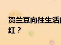 贺兰豆向往生活的表现备受争议 她为什么能红？