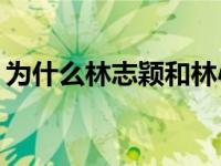 为什么林志颖和林心如会和对方的伴侣分手？