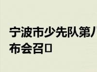 宁波市少先队第八次代表大会红领巾倡议书发布会召�