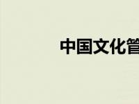 中国文化管理和服务不断进步
