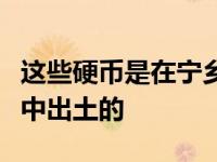 这些硬币是在宁乡市华林村一个池塘下的地窖中出土的
