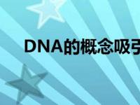 DNA的概念吸引了许多青少年的想象力