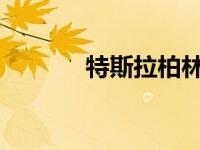 特斯拉柏林超级工厂陷入停顿