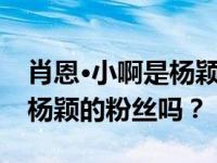 肖恩·小啊是杨颖的球迷吗？宣仪和肖恩都是杨颖的粉丝吗？