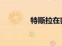 特斯拉在密歇根州大获全胜