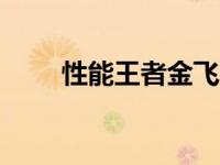 性能王者金飞FK510 SUV非凡体验
