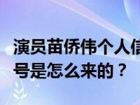 演员苗侨伟个人信息及简介三哥苗侨伟这个称号是怎么来的？