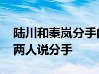 陆川和秦岚分手的原因是什么？多年的感情 两人说分手