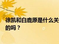 徐凯和白鹿原是什么关系？他们两个在消防军校演情侣是真的吗？
