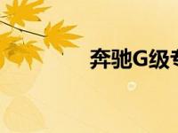奔驰G级专业系列现车发售