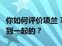 你如何评价项兰？她和向华强是怎么认识并走到一起的？