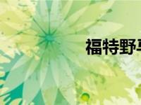 福特野马大脚套件降价