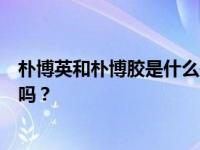 朴博英和朴博胶是什么关系？韩宝英和朴博胶有关系是真的吗？