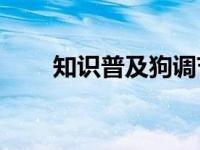 知识普及狗调节体温的汗腺在哪里？