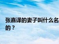 张嘉译的妻子叫什么名字？张嘉译是如何遇见他现在的妻子的？