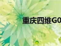 重庆四维G01卓越售价仅7.99万
