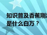 知识普及香蕉刚出生的时候是直的 但成熟后是什么白万？