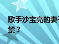 歌手沙宝亮的妻子是谁 为什么他的成名作被禁？