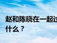 赵和陈晓在一起过吗？他们不再合作的原因是什么？
