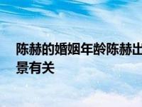 陈赫的婚姻年龄陈赫出轨被成功粉饰 知情人透露 和他的背景有关