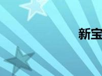 新宝马3系几缸？