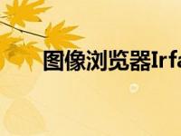 图像浏览器IrfanView 4 50已经退出
