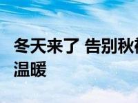 冬天来了 告别秋裤 福特Shaker给你全方位的温暖
