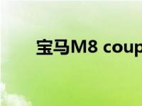 宝马M8 coupe和敞篷在运动中相邻
