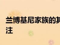 兰博基尼家族的其他成员最近引起了人们的关注
