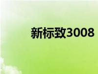 新标致3008 DKR准备达喀尔挑战