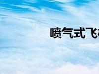 喷气式飞机的原理是什么？