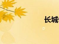 长城优秀微型悬�