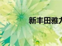 新丰田雅力士2020规格详情