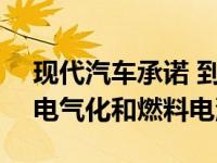 现代汽车承诺 到2022年 十款新车型将实现电气化和燃料电池化