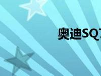 奥迪SQ7获得时尚新外�