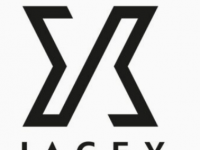 RuneScapeFranchiseCreatorJagex在首次工作室投资中收购PipeworksStudios