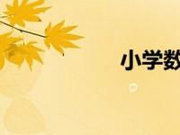 小学数学应该怎么学