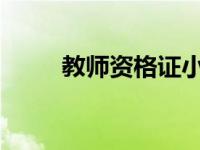 教师资格证小学数学面试视频教程