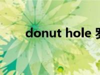 donut hole 罗马音（donut hole）
