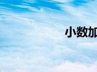 小数加减的验算方法