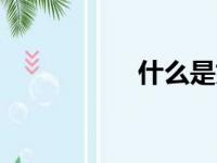 什么是好的PSAT分数