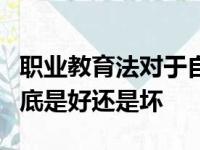 职业教育法对于自己或者自己家的孩子而言到底是好还是坏