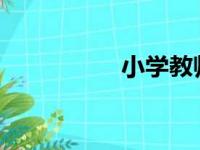 小学教师资格证考什么