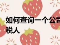 如何查询一个公司是一般纳税人还是小规模纳税人