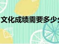文化成绩需要多少分有希望录取河南城建学院