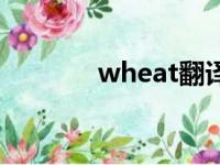 wheat翻译（wheat可数吗）