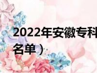 2022年安徽专科学校排名（最好的高职院校名单）