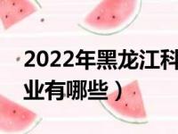 2022年黑龙江科技大学评价怎么样（王牌专业有哪些）