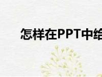 怎样在PPT中给75X34竖式添加动画？
